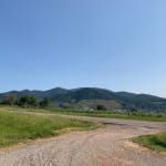 Le vignoble de Leimbach