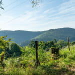Circuit du Schlosswald