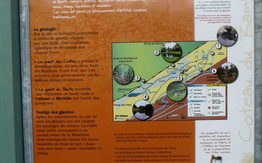 Le Coteau du Bambois