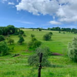 L'arboretum de la Bodenmatten
