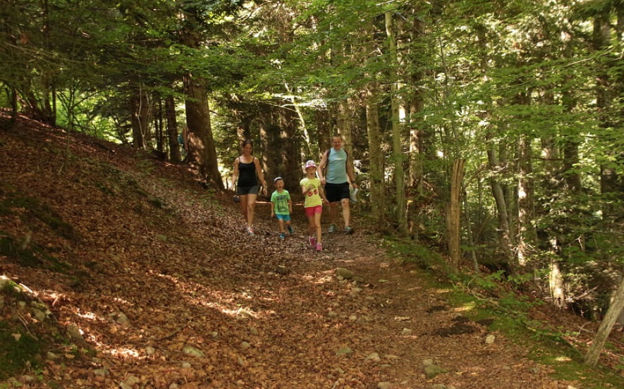 Balade famille - Le Sentier des chèvres