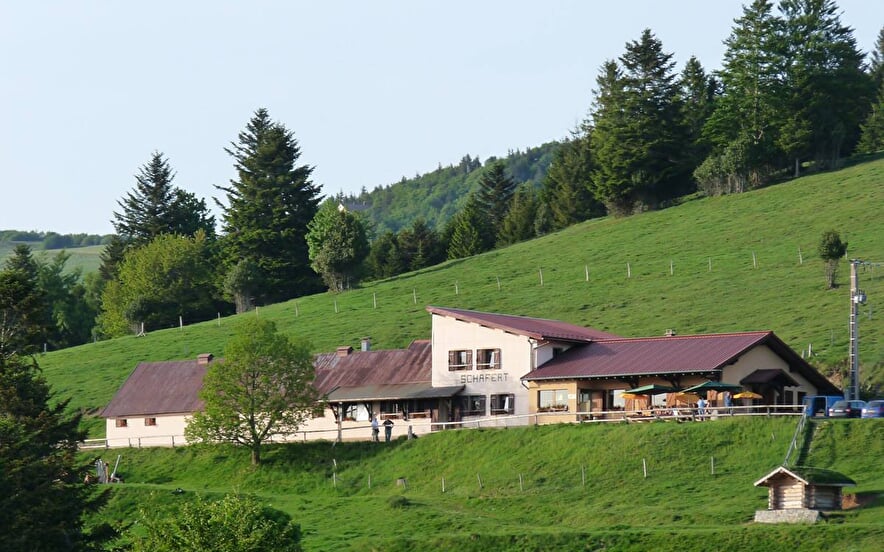 Ferme-auberge Schafert