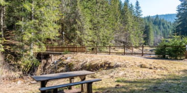 Balade accessible - La Tourbière de Belbriette