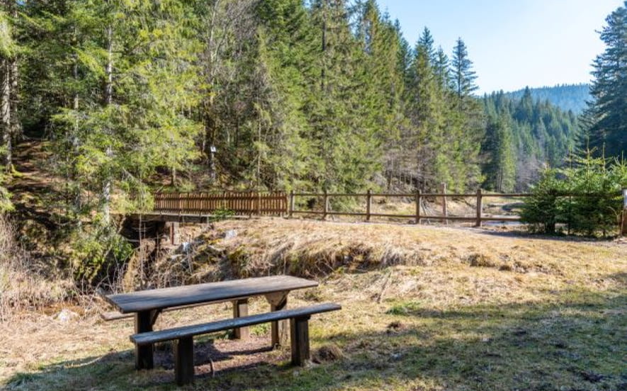 Balade accessible - La Tourbière de Belbriette