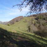 Les chaumes du Molkenrain