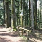 Forêt domaniale de Saint-Quirin