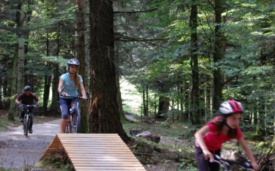Easy Bike Park : Parcours d’habileté VTT au Schnepfenried