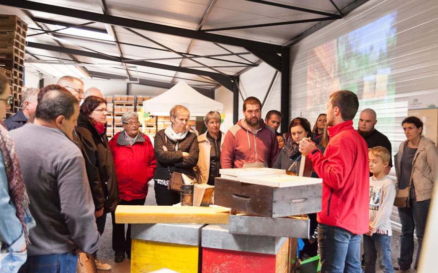 Ruchers des Vosges du Nord, à la découverte de la fabrication du miel !