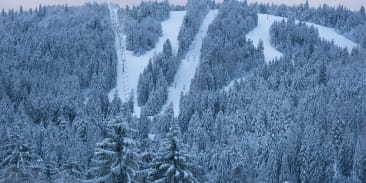 Domaine skiable alpin Gérardmer Stations
