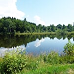 Le Parc naturel regional des Ballons des Vosges