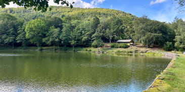 Lac du Lachtelweiher