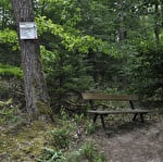 Sentier poussette - Entre Neubois et Dieffenbach-au-Val