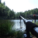 Pêche aux lacs du Neuweiher