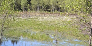 Le Conservatoire d'Espaces Naturels de Lorraine