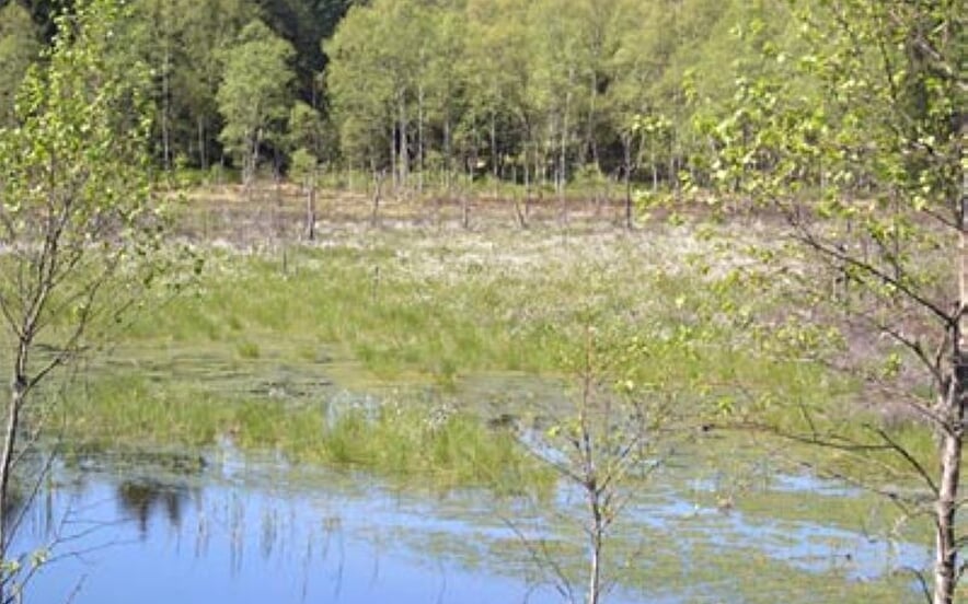Le Conservatoire d'Espaces Naturels de Lorraine