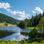 Les tourbières de Lispach et de la Ténine à La Bresse