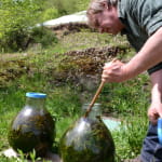 Ferme aux herbes - plantes aromatiques et medicinales