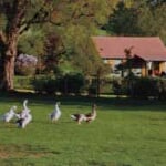 École à la ferme