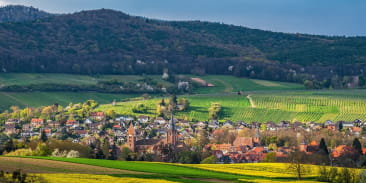 Circuit de randonnée chemin de Saint Jacques de Compostelle retour par le Geisberg