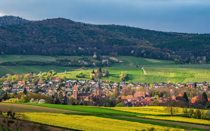 Circuit de randonnée chemin de Saint Jacques de Compostelle retour par le Geisberg