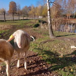 Bergerie des Deux Sources