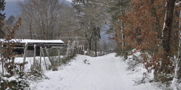 Sentier poussette - A travers Saint-Maurice