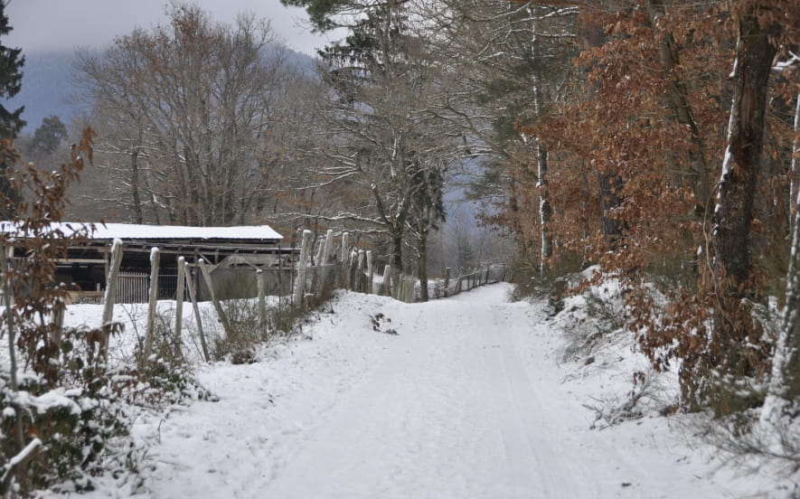 Sentier poussette - A travers Saint-Maurice