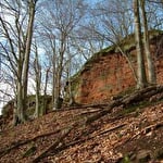 Château du Wittschloessel