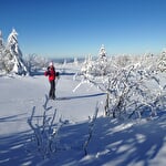 Sens à Sons Nature - Cours de ski nordique