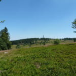Circuit rando CDF07 : Les Myrtilles