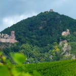 Ribeauvillé