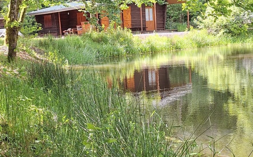 Chalet des Sources de Ger - Waldan