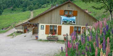 Ferme-Auberge Strohberg