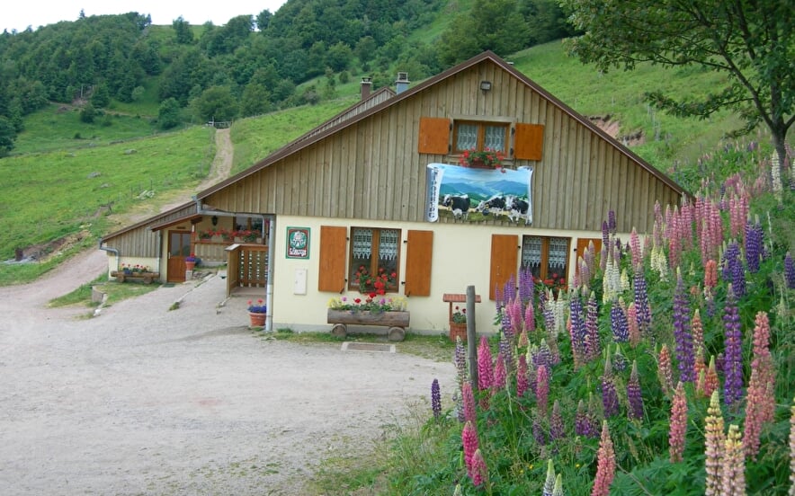 Ferme-Auberge Strohberg