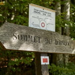La forêt domaniale du Donon