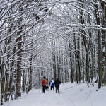 Balades en raquettes à neige avec la Maison de la Terre