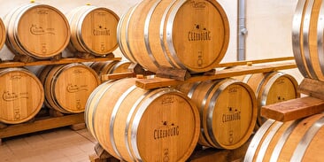 Cave vinicole de Cleebourg