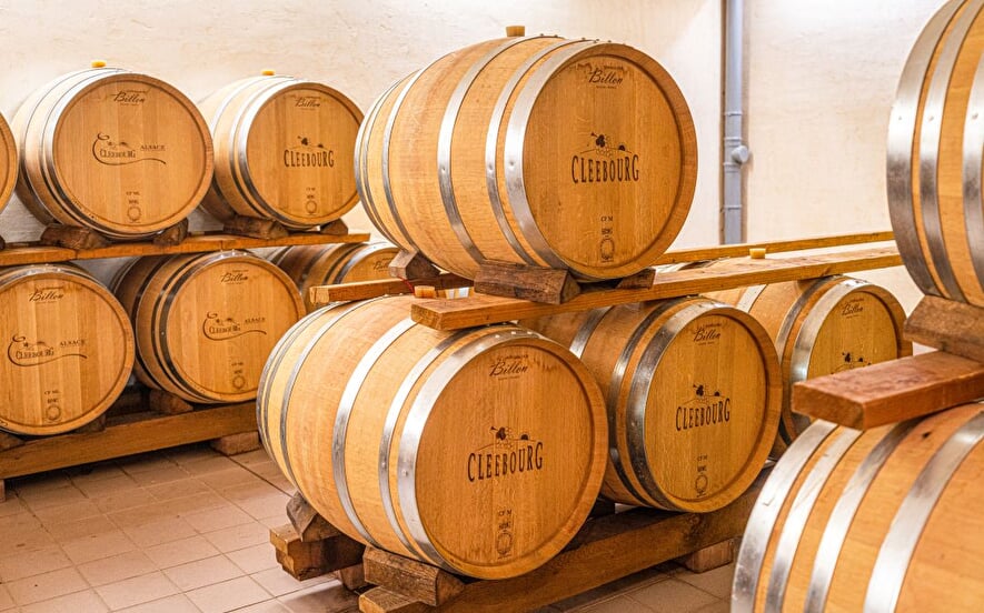 Cave vinicole de Cleebourg