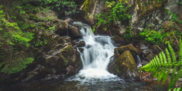 Le Saut des Cuves