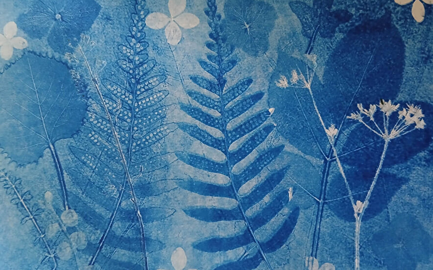 Exposition - Jardins sous les étoiles