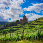 Randonnée vignes et vins