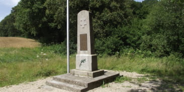 La balade des champs cerisiers