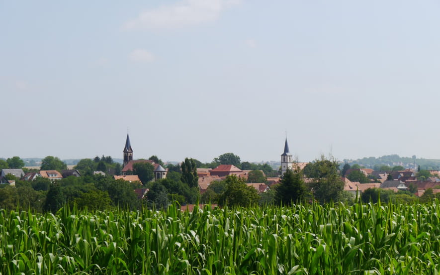 Balade ludique à Kutzenhausen