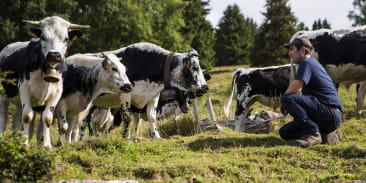 Visite à la ferme Cattenoz