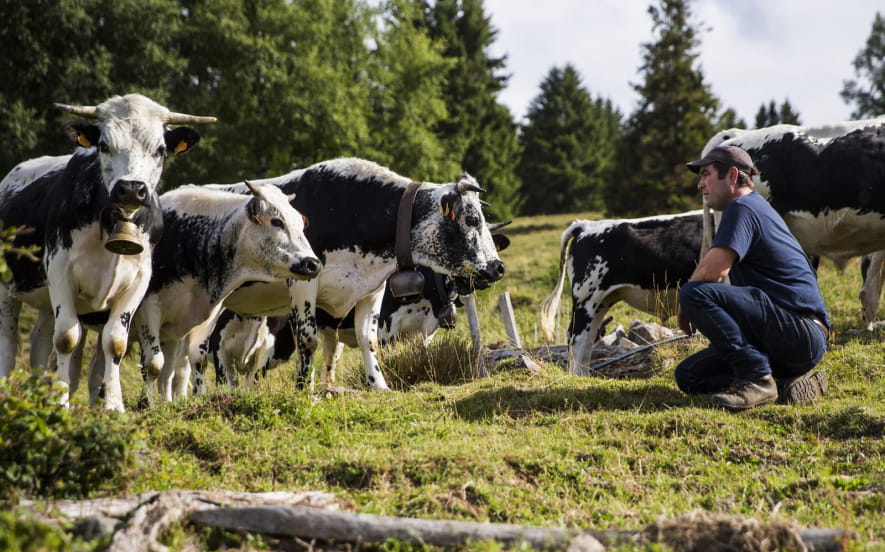 Visite à la ferme Cattenoz