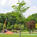 Aire de jeux enfants - Jardins Jean-Marie Pelt - Parc de la Seille