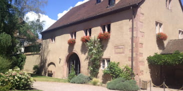 Musée du vignoble et des vins d'Alsace