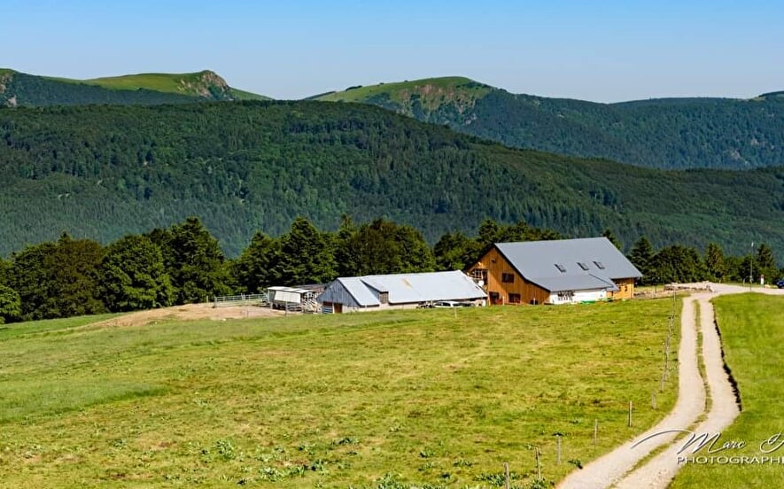 Ferme-Auberge Uff Rain