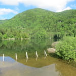 Pêche au lac d'Alfeld