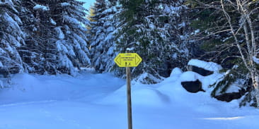 Circuit piéton - du Col du Calvaire à la digue du Lac Blanc